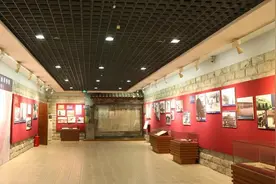 了不起的它们 | 一面有秘密的墙图片