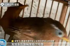 南通：18只野生画眉被贩卖 民警及时解救图片