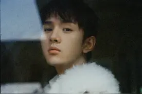 李佳琦怀抱爱犬车内拍大片 化身港风少年文艺范十足图片