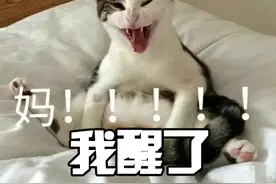 “不要喊妈！”她和7岁儿子签下的这份条约火了图片