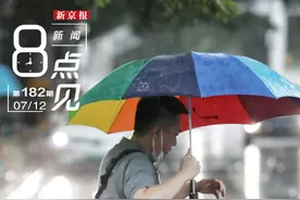 新闻8点见丨在西双版纳救助亚洲象的人：大象回归野外是最终目标图片