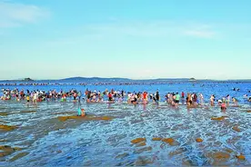 市民赶海拾贝"神器"纷纷上场 提醒：要注意潮汐规律图片