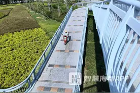 人行通道设54条减速带，骑手经过抖不停，部门：为禁电动自行车骑行图片