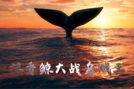 这个暑假去哪儿玩？全杭州最全各大展馆信息，我们帮你整理好了图片