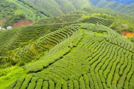 紫金：成功探索经济欠发达地区全域旅游发展路径图片