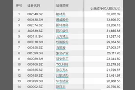 重仓股曝光！杠杆资金买入股票名单出炉，这只股获融资买入居首图片