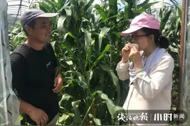 舟山一对80后研究生夫妻毕业后岛上当农民，年入百万，他们把日子过成诗图片