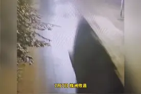 视频丨粗心司机随手扔烟头 结果悲剧了……图片