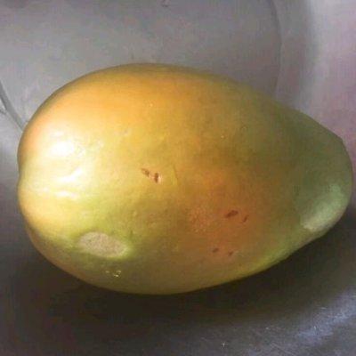 花胶汤木瓜花胶冻 花胶汤木瓜花胶冻能吃吗