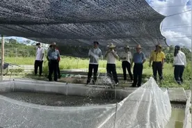 广东又大拆蛙棚！惠东出动300多人次清拆上百亩图片