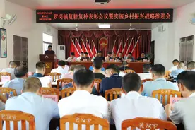 梅州兴宁罗岗镇召开复耕复种表彰暨实施乡村振兴战略推进会图片