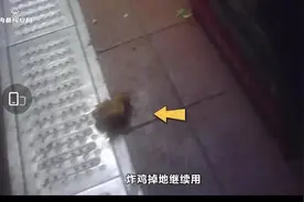 鸡块掉地上继续用，清洗剂还滴进油锅！华莱士再出食安问题，公司回应：停业整顿图片