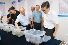 仙桃市代市长孙道军调研黄鳝产业示范带建设图片