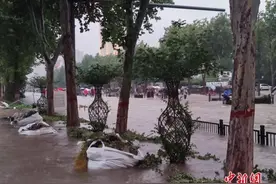 直击郑州罕见强降雨：整座城都“泡”在水中图片
