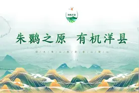 洋县召开中心城区“四改一拆一通一落地”暨国卫（省园）复审工作调度会议图片