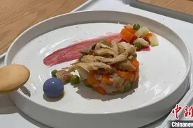 “毛孩子”用餐有新去处啦！上海首家宠物餐厅开业图片