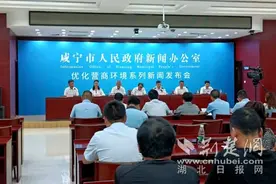 咸宁市自然资源和规划局副局长李长春：允许延期或分期缴纳土地出让金图片