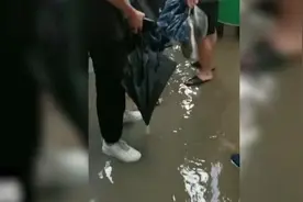 郑州主持人小佩手机拍摄地铁被困全程视频：积水一度漫过胸部