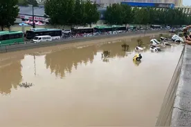 郑州暴雨下的“回家历险记”：女子被洪水冲走后 被好心大哥救起护送回家图片