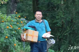 报告文学：深山邮路图片