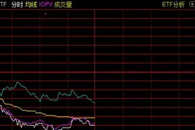 调整就是机会！这个板块连跌三个月，权重股无一上涨，但基金开始进场抄底了图片