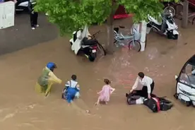 德国专家评说“郑州洪灾”的这句话，让人清醒图片