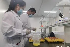 生产疫苗、中药提取……除了吃，原来鸡蛋还有这么多用处图片