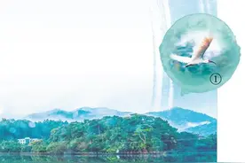 保护野生动物 守护美丽家园图片