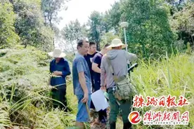 三伏天里，醴陵征拆项目推进正酣图片