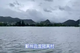 接送村民、运送物资 鄞州云龙镇冠英村龙舟化身救援船视频封面