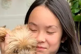 小铲屎官被郊狼袭击，娇小的狗子跟郊狼拼了命也要救下她图片