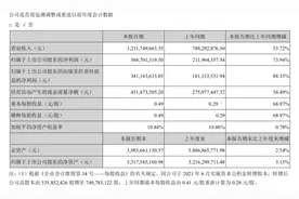 直击半年报丨百润股份数字零售渠道毛利率下降2.24%图片