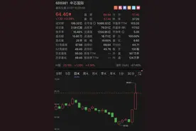 上市一年后，中芯国际首度触及涨停图片