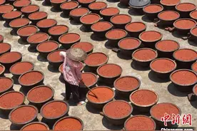 烈日高温 湖南双峰村民晒制辣酱忙图片