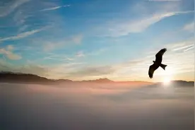 夜读 | 人生三大幸事：遇良师，得良友，拥良伴图片