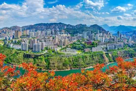 全国首创为二、三孩家庭发补贴金 四川攀枝花还有这些育儿“大礼包”图片