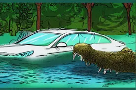 郑州暴雨海洋馆爆炸，鳄鱼跑出来吃人了？不添加食品添加剂的食物更安全？图片