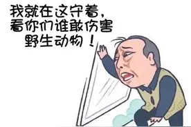 男子酷爱收藏，家中“藏品”连警方都震惊了图片