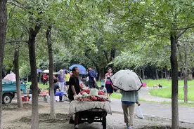 商贩进园卖菜，清晨公园变成“早市”！属地街道：已劝离图片