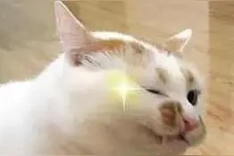 有编制！深圳招聘1028名教师！社会人员也能报！图片