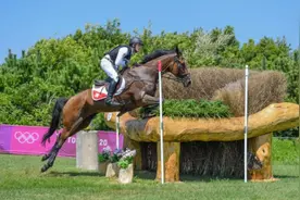 为什么马匹受伤了就不能活了？奥运马被安乐死引发的热议图片