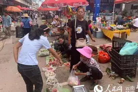 深山采菌人图片