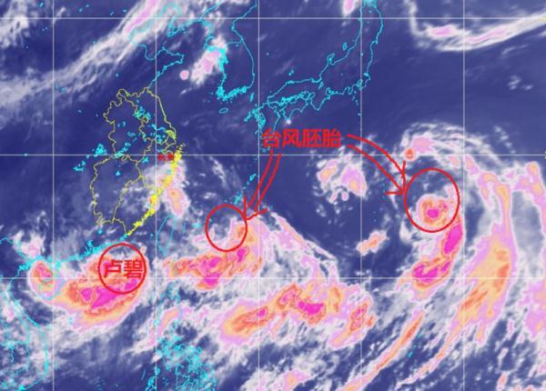 台风“卢碧”明天登陆！路径诡异“逆向行驶”！大暴雨正杀向浙江