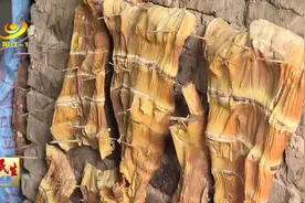 阳西东水山竹笋新鲜上市图片