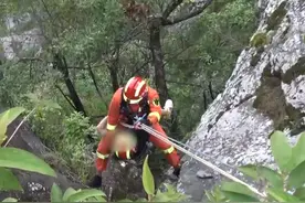 女子从100多米高山崖跌落，挂半山腰树上获救，网友：电视剧里原来是真的图片