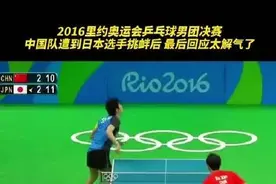 比赛喊得太大声，张本智和遭日本球迷嫌弃…图片