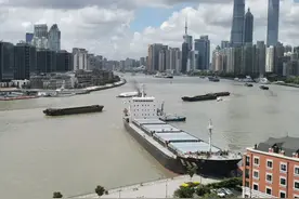 目击者描述浦东滨江被撞瞬间：海船直直撞向渡口，比雷还响图片