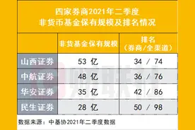 4家中小券商逆袭，亮相非货公募保有规模TOP100，为何会是这4家？中小券商如何走特色化的财管之路图片