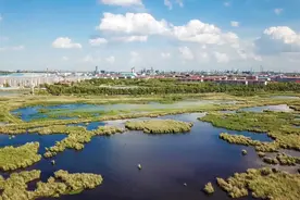 大热的天，一起到中国最大城中湿地去看“海”视频封面
