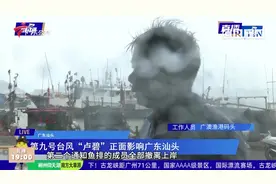 台风“卢碧”登陆汕头 南澳大桥紧急封桥视频封面